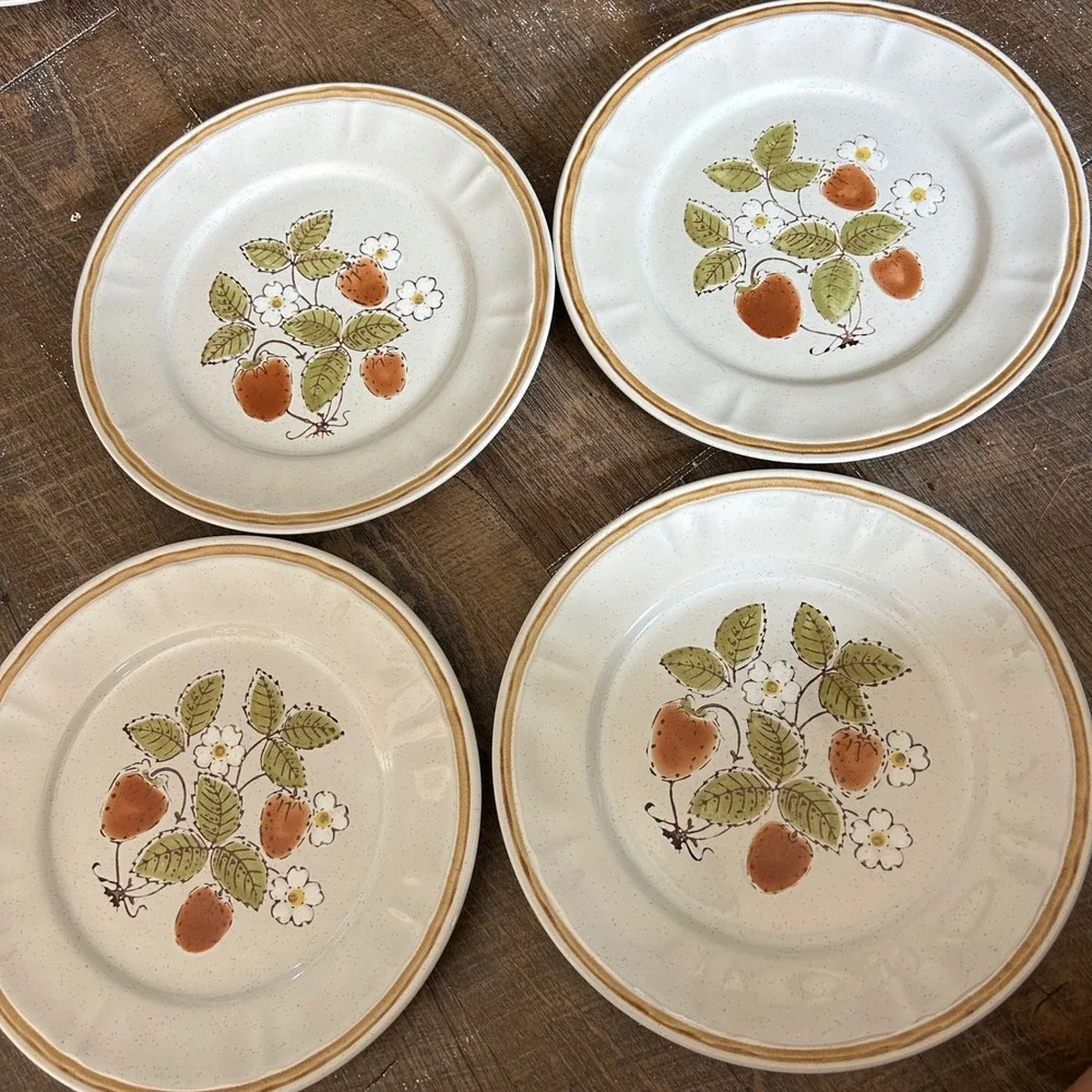 Americana Hearthside Berries n Cream Dinner Plates Set of 4 Stoneware Japan 10.5